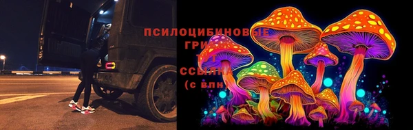 гашик Баксан