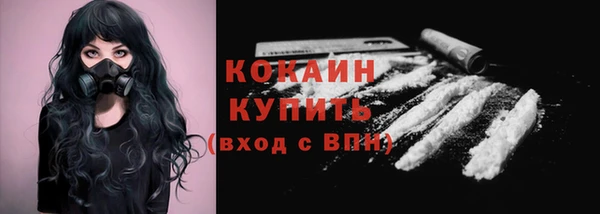 индика Балахна