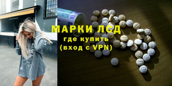 индика Балахна