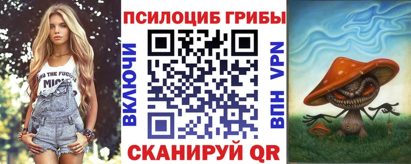 kraken как зайти  купить   Николаевск  Галлюциногенные грибы мухоморы 