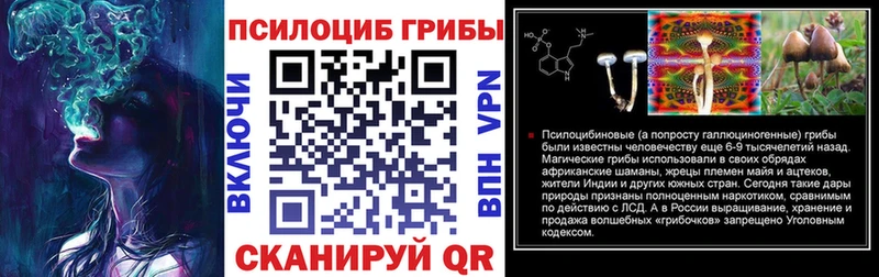 Галлюциногенные грибы Cubensis Николаевск